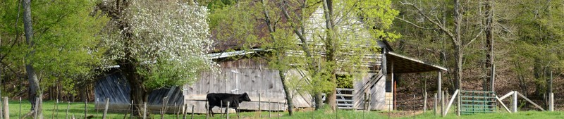 Fayette County Fairgrounds