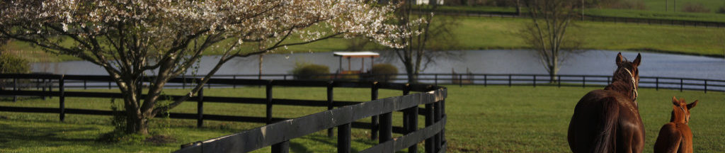 Fayette County Fairgrounds – Washington Court House, Ohio