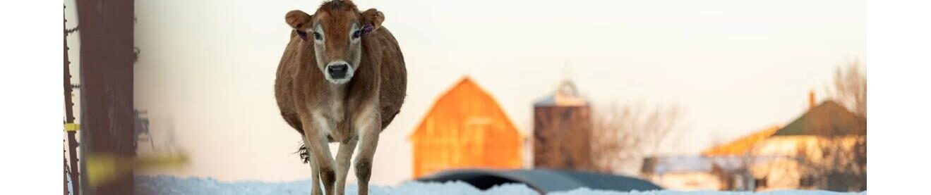 Fayette County Fairgrounds – Washington Court House, Ohio